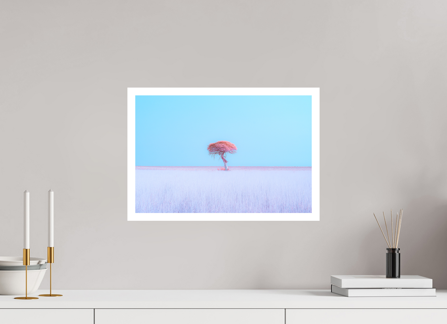 Dreamscape of Etosha