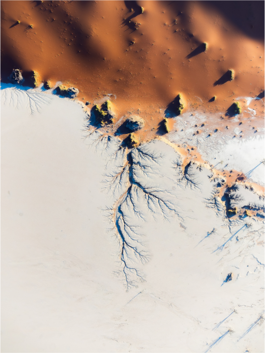Main image Deadvlei’s Veins