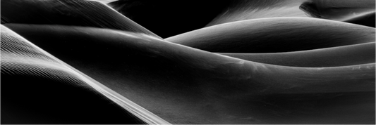 Main image Sculpted by Silence